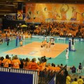 volleybal 010.jpg